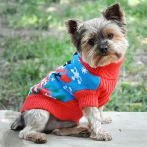 Ugly Snowman Holiday Dog Sweater - Combed Cotton